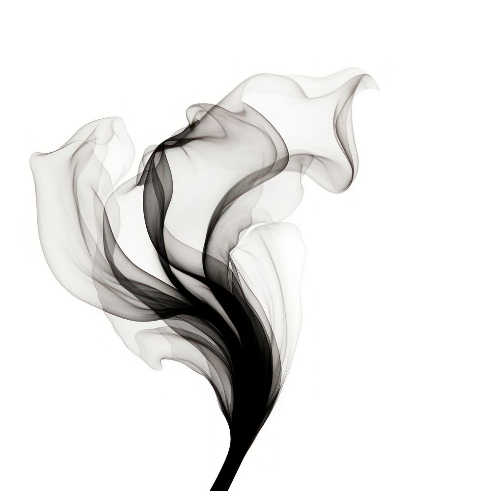 Abstract smoke of tulip white white background monochrome.