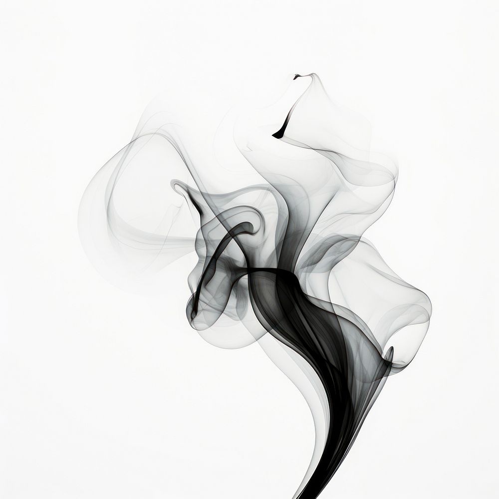 Abstract smoke of tulip white black creativity.