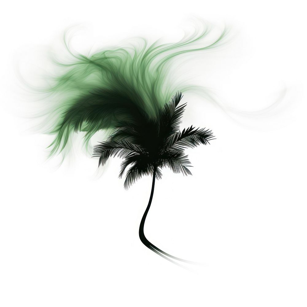 Abstract smoke of coconut green silhouette plant.