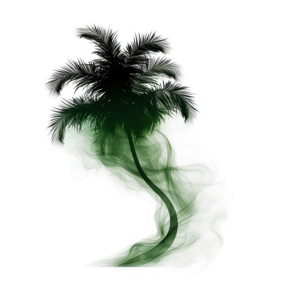 Abstract smoke of coconut tree plant green.