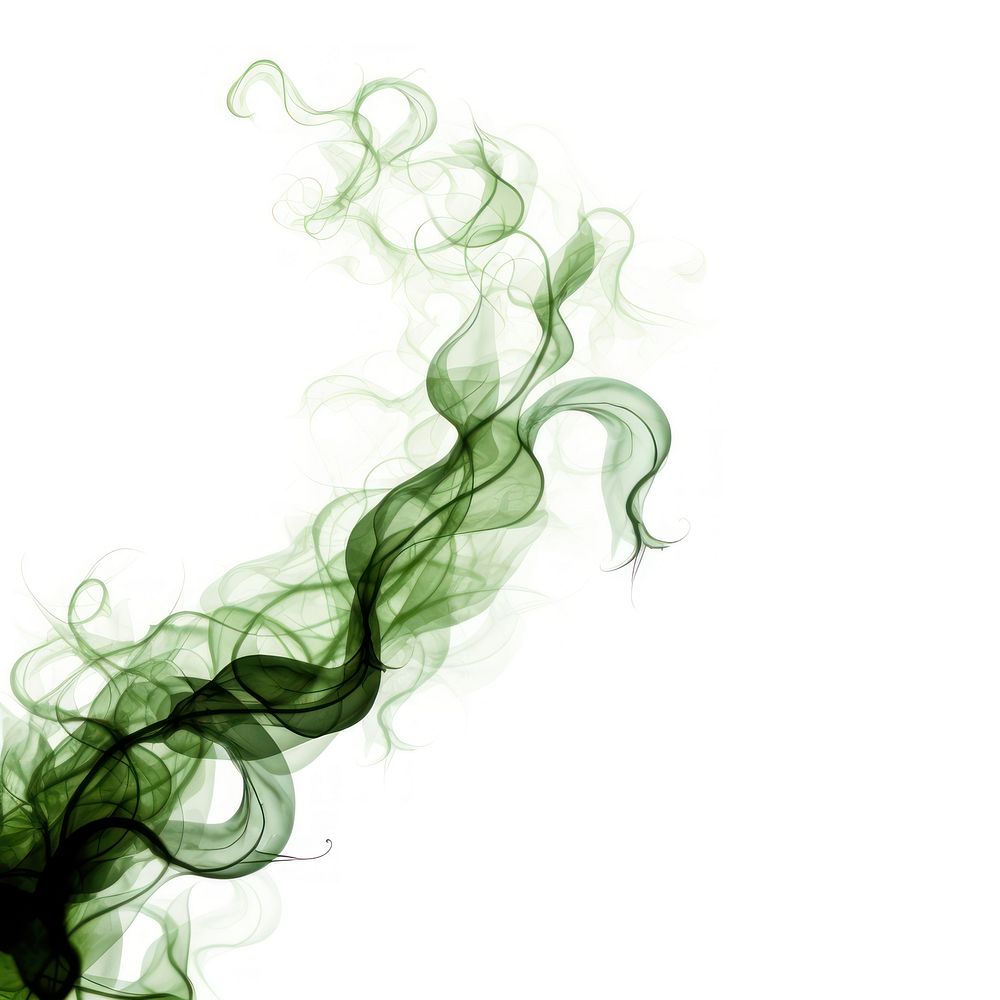 Abstract smoke of ivy backgrounds green white background.
