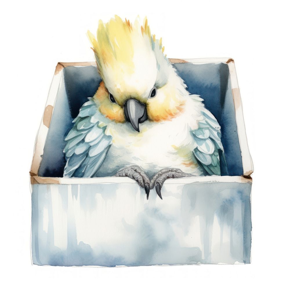 Watercolor cockatoo sleeping animal cartoon parrot.