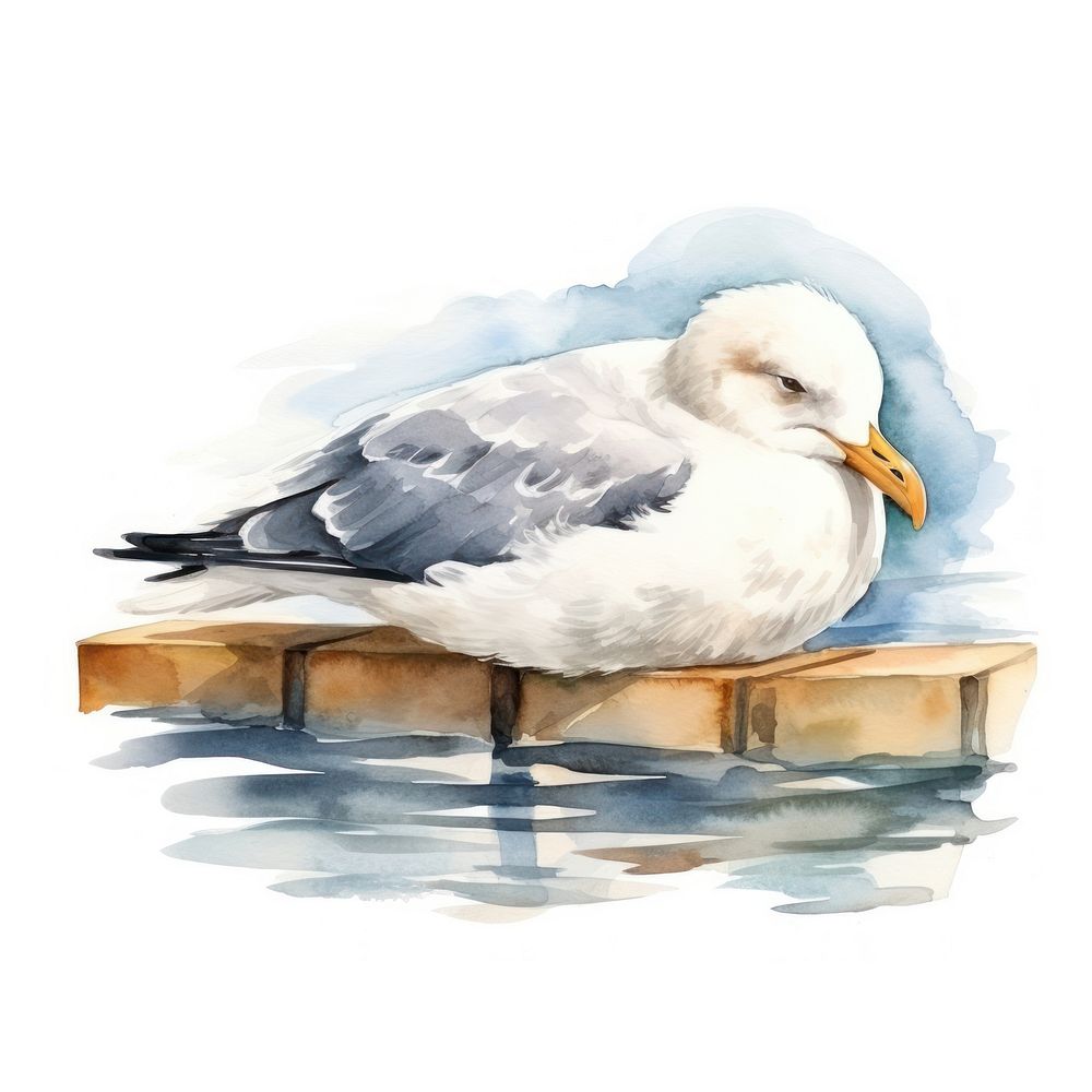 Watercolor seagull sleeping animal cartoon bird.