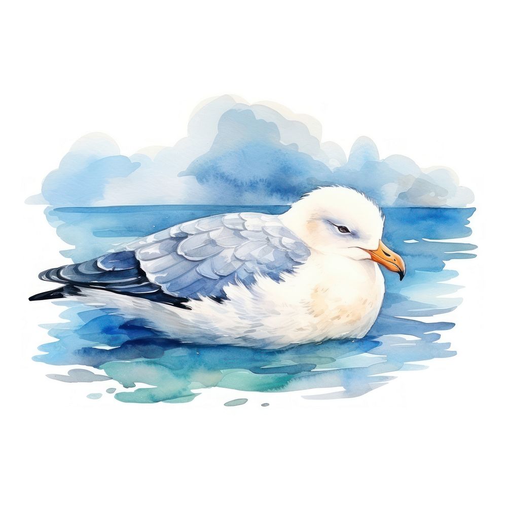 Watercolor seagull sleeping animal outdoors cartoon.