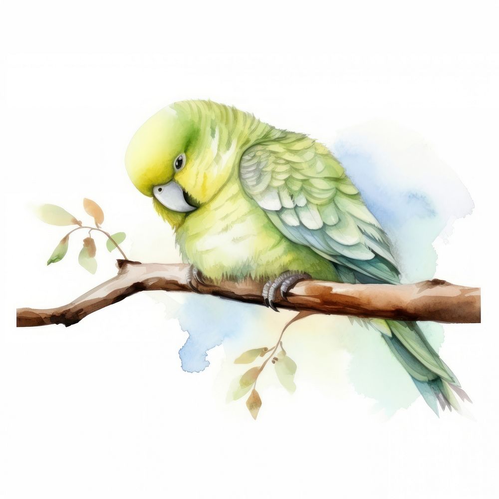 Watercolor parakeet sleeping animal cartoon | Premium Photo ...