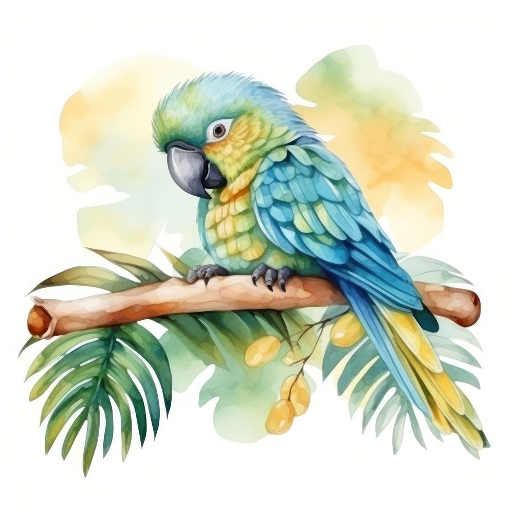 Watercolor parrot sleeping animal cartoon bird.