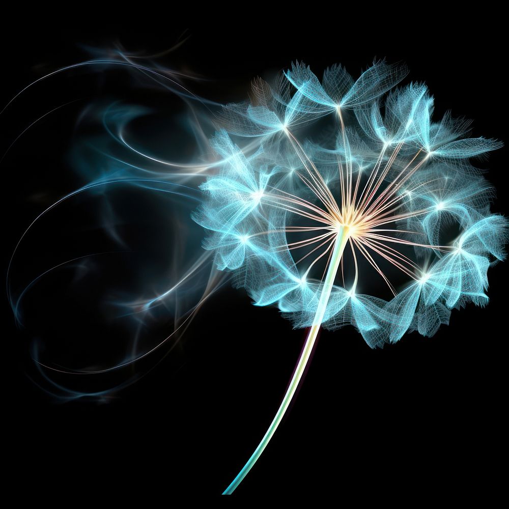 Abstract smoke of dandelion flower plant inflorescence.