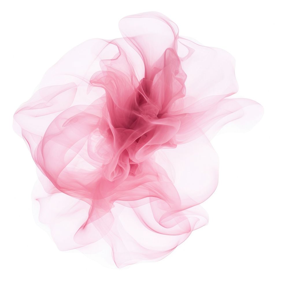 Abstract smoke of carnation flower pink white background.