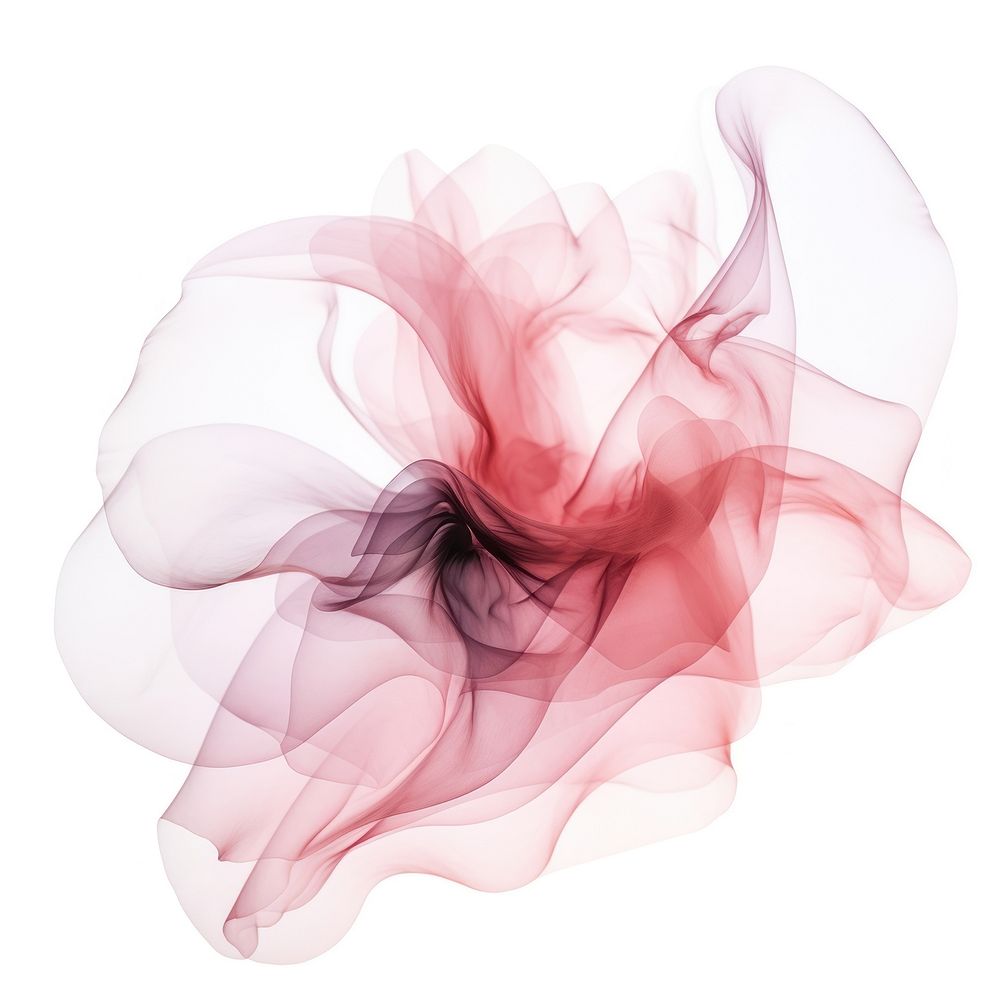 Abstract smoke of lotus pink white background creativity.