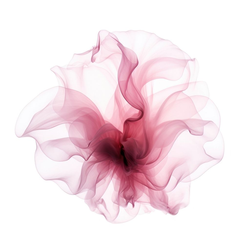 Abstract smoke of lotus flower plant rose.