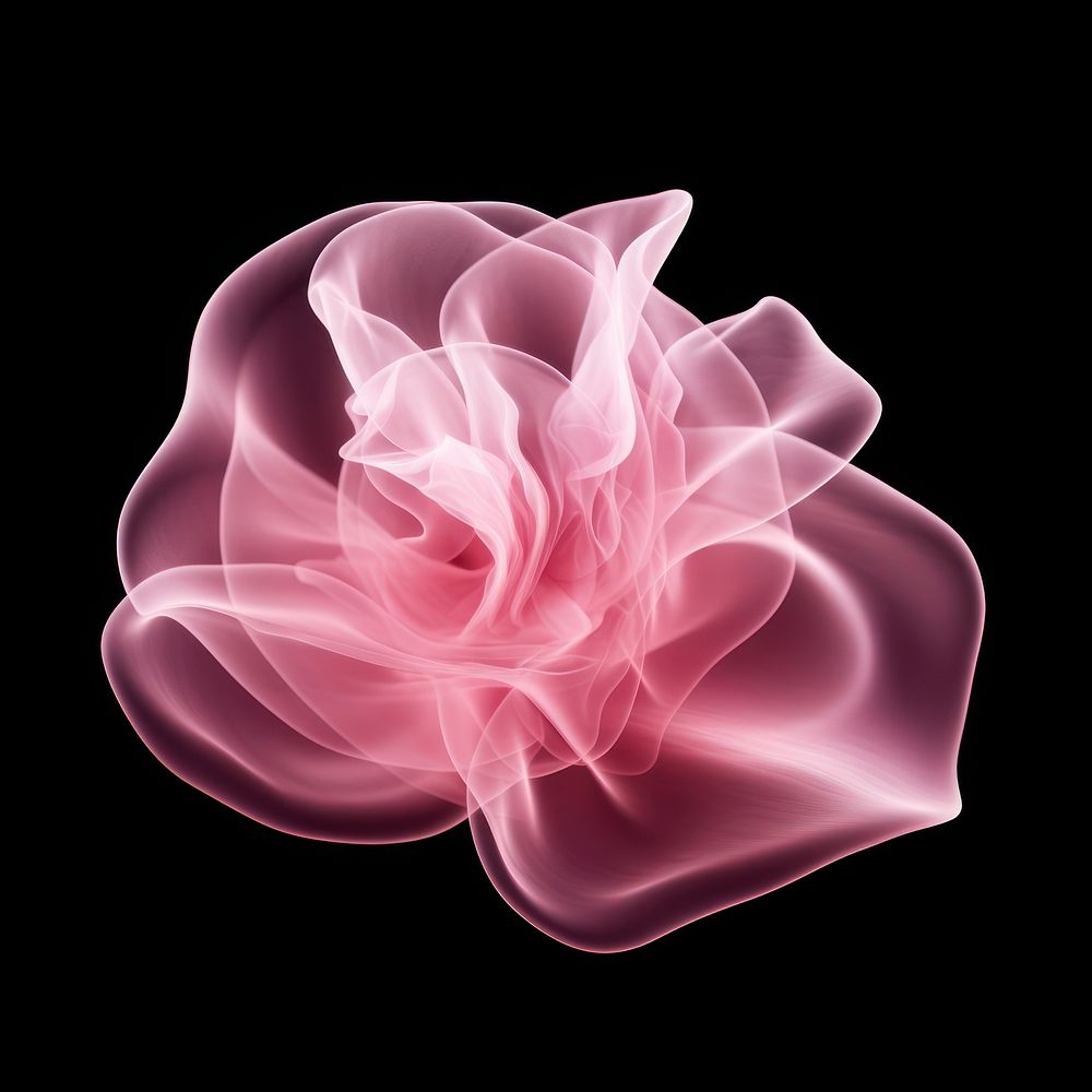 Abstract smoke of rose flower plant pink.
