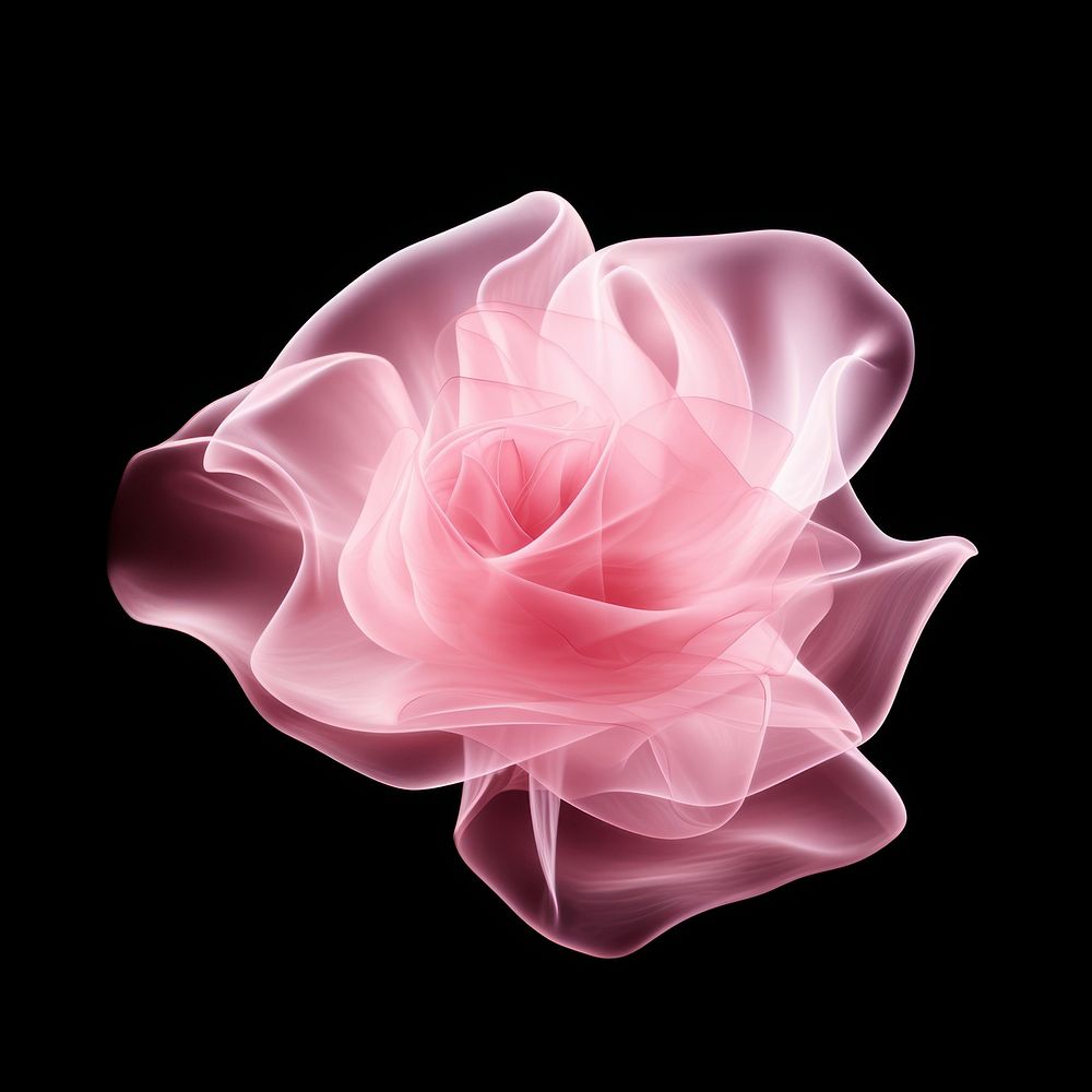 Abstract smoke of rose flower shape petal.