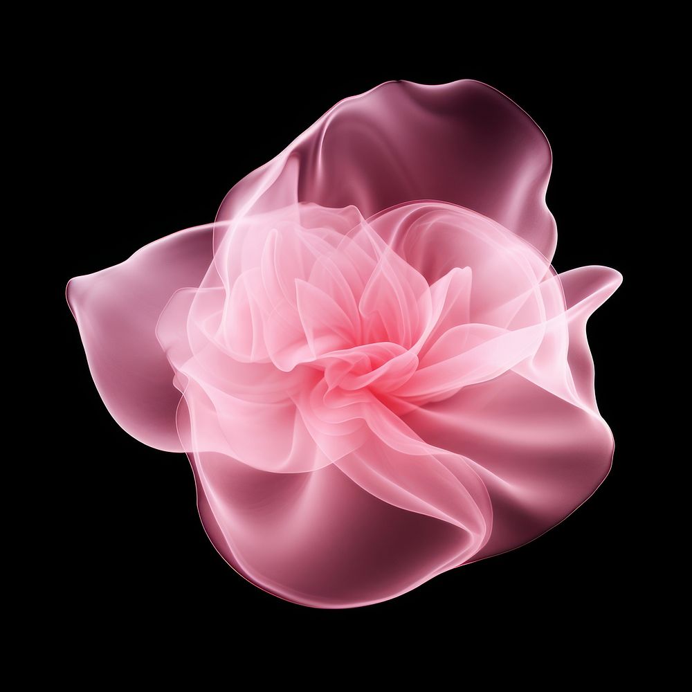 Abstract smoke of rose flower petal plant.
