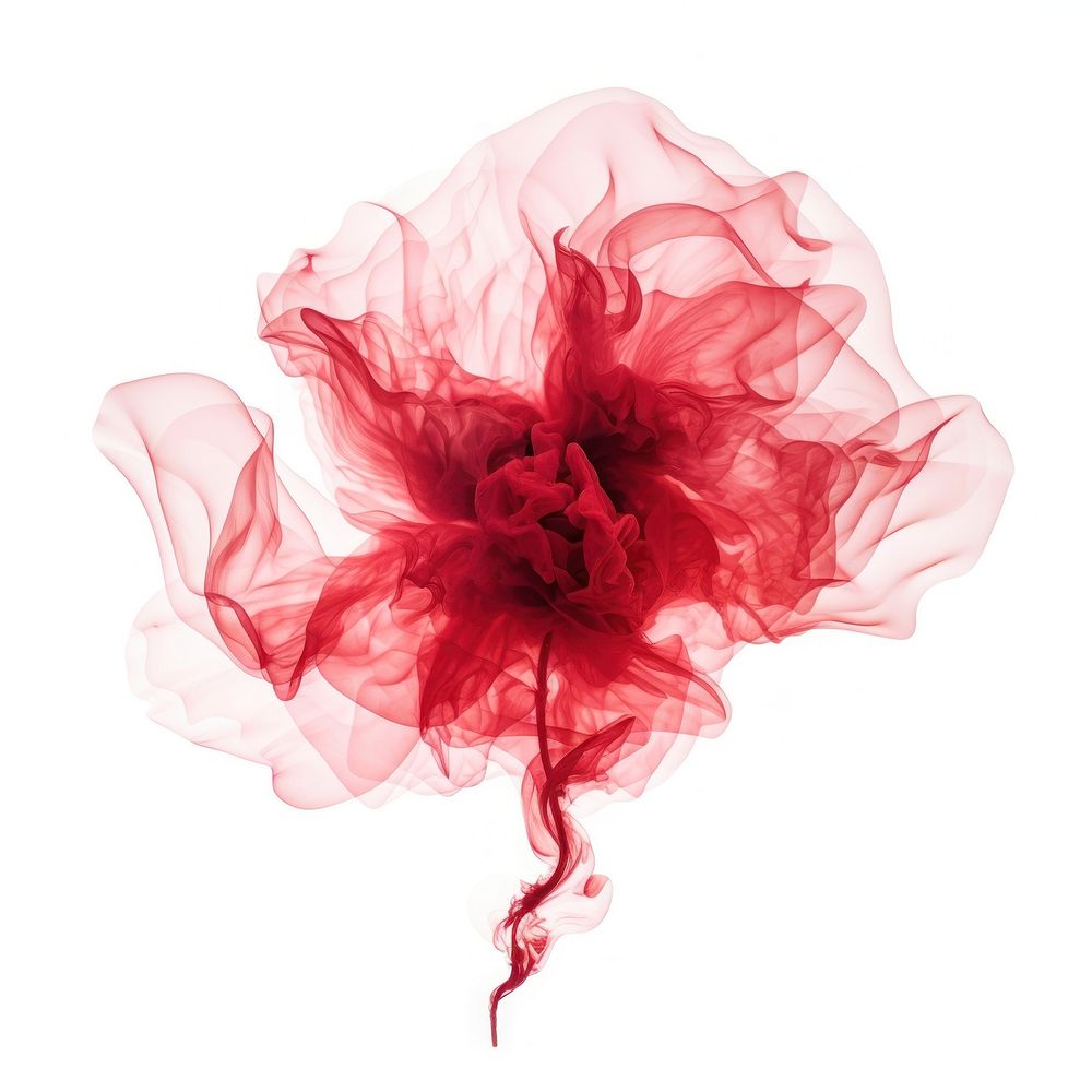 Abstract smoke of carnation pattern flower red.