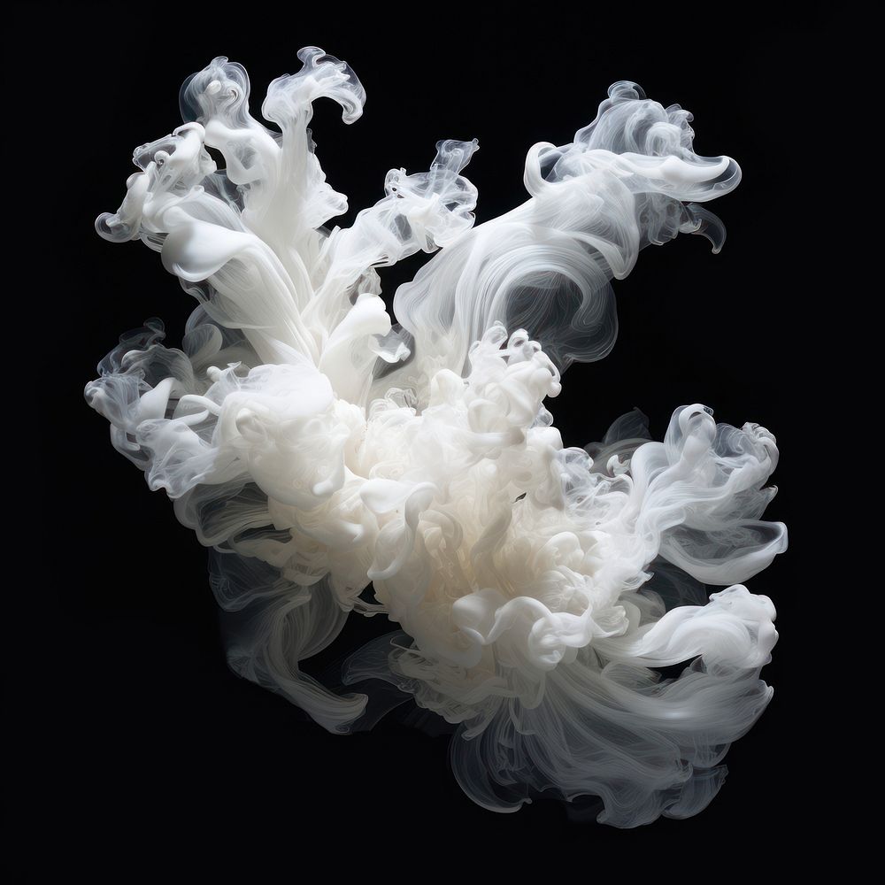 Abstract smoke of coral white fragility jellyfish.