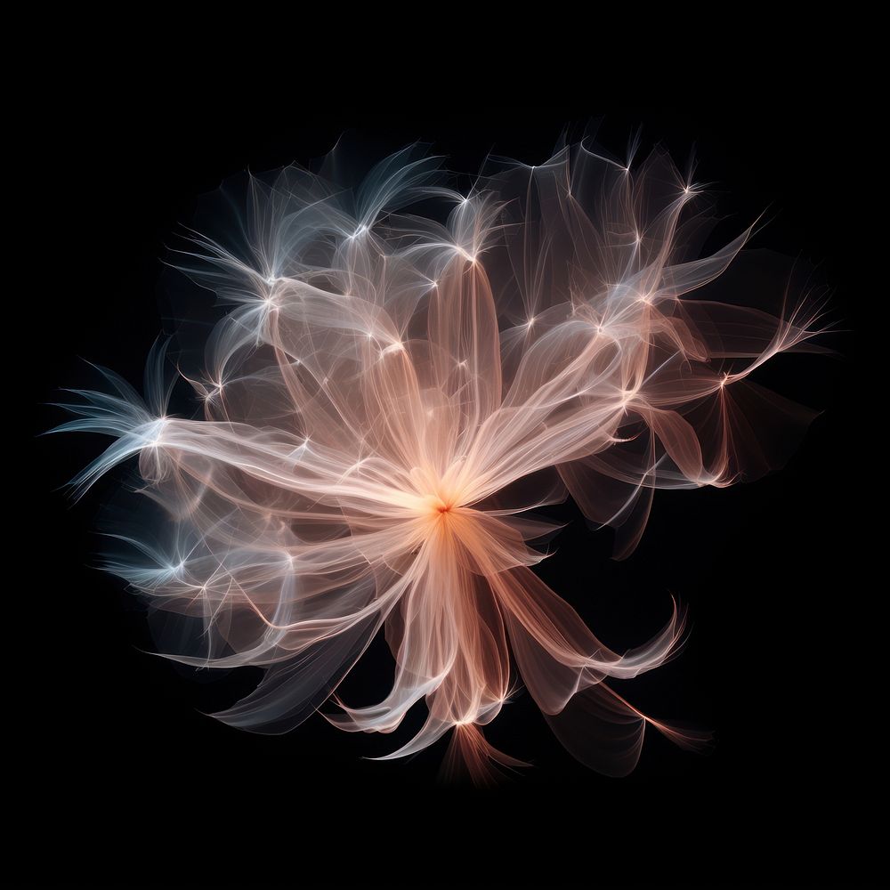 Abstract smoke of dandelion flower pattern illuminated.