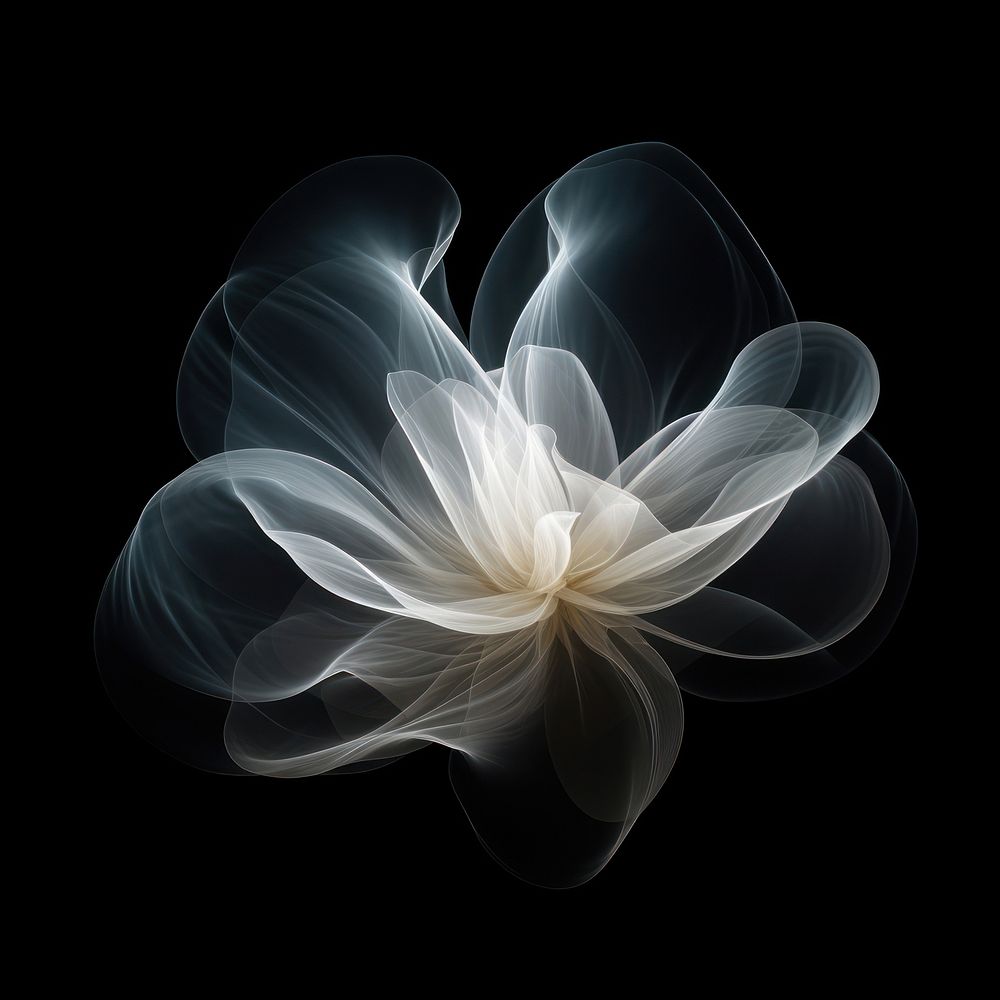 Abstract smoke of lotus pattern flower white.