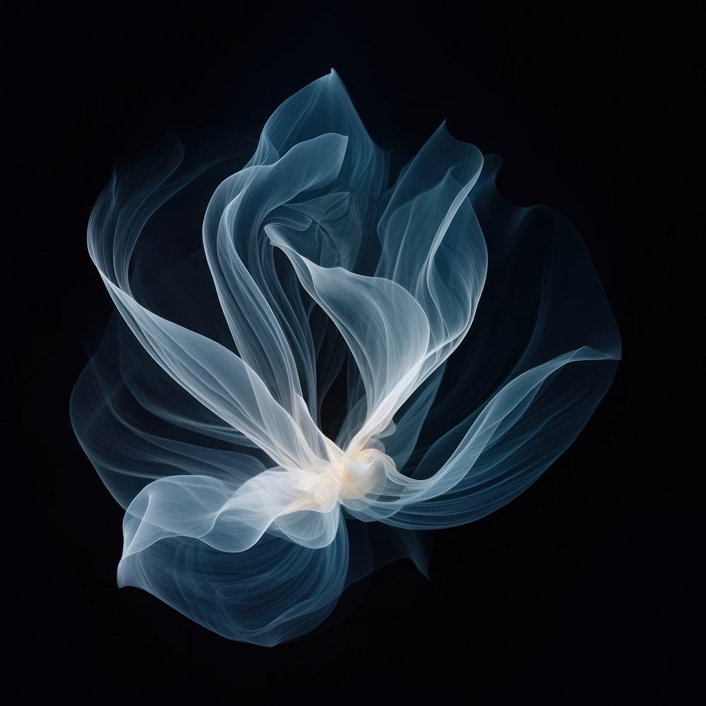 Abstract smoke of lotus white illuminated fragility.
