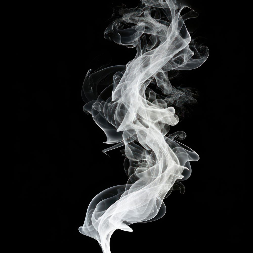 Abstract smoke of pine white monochrome fragility.