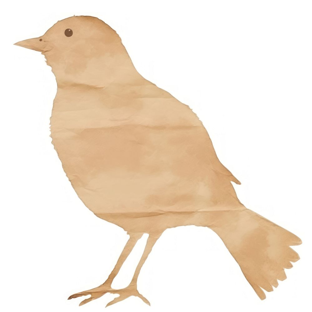 Bird shape ripped paper animal | Premium Photo - rawpixel