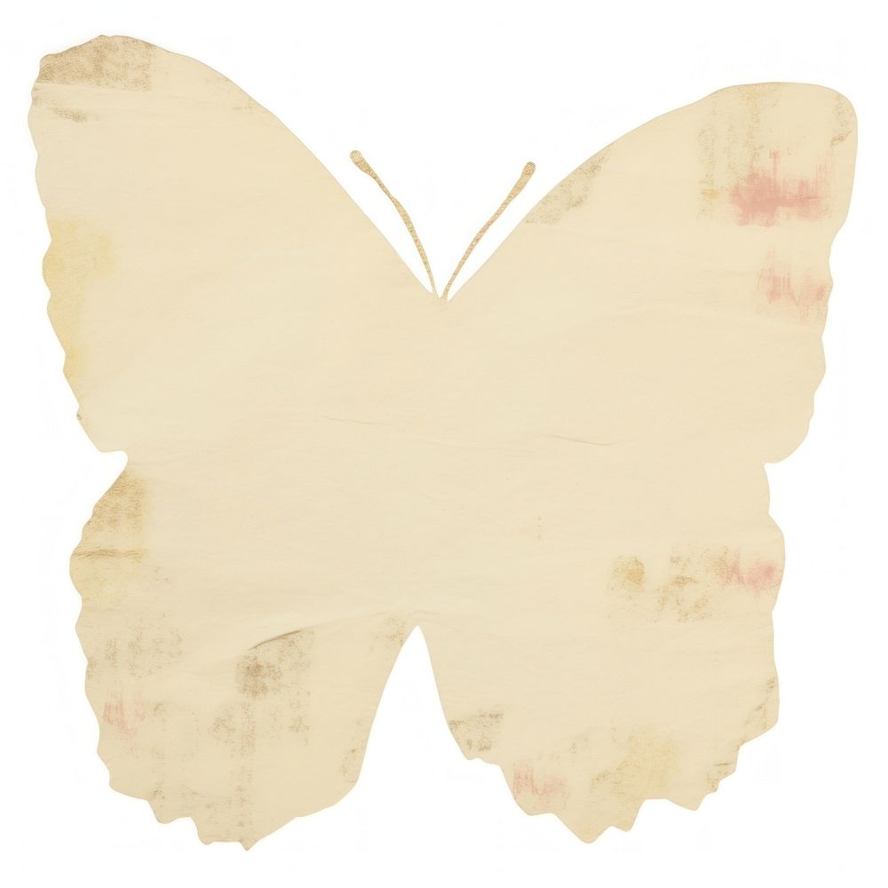 Butterfly shape ripped paper white white background creativity.