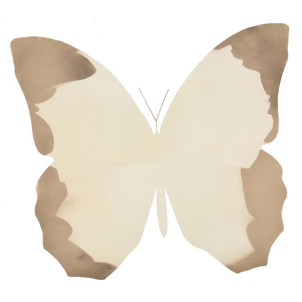 Butterfly shape ripped paper white background pattern cushion.