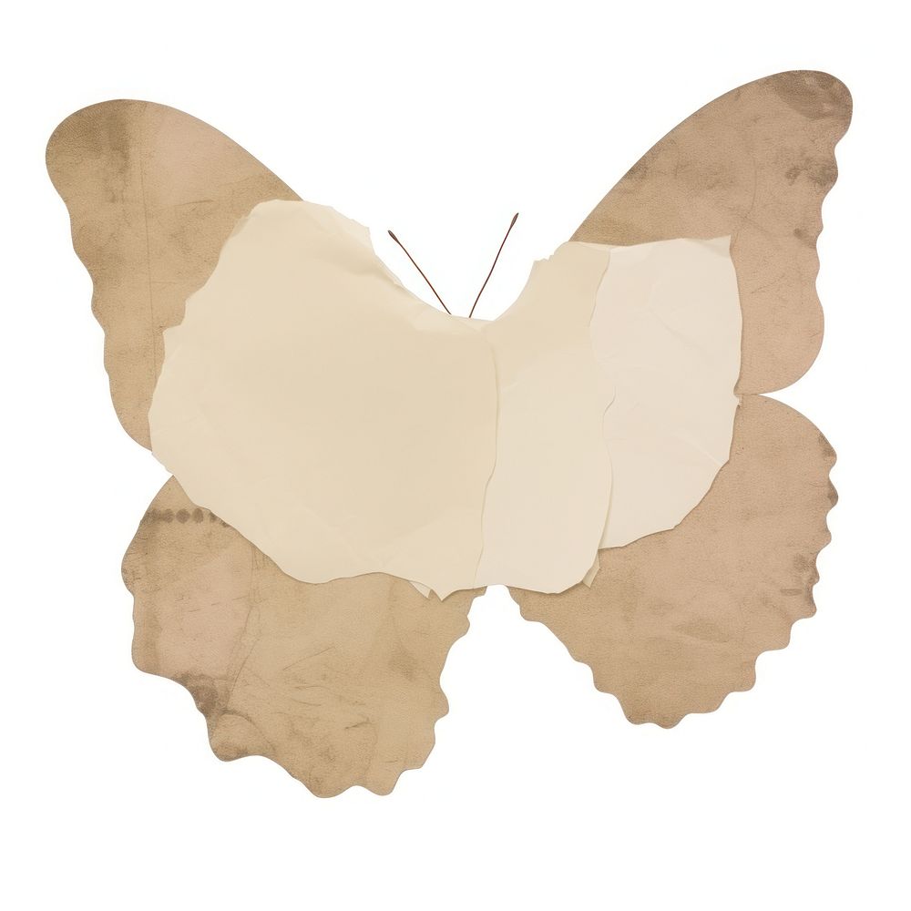 Butterfly shape ripped paper white background creativity clothing.