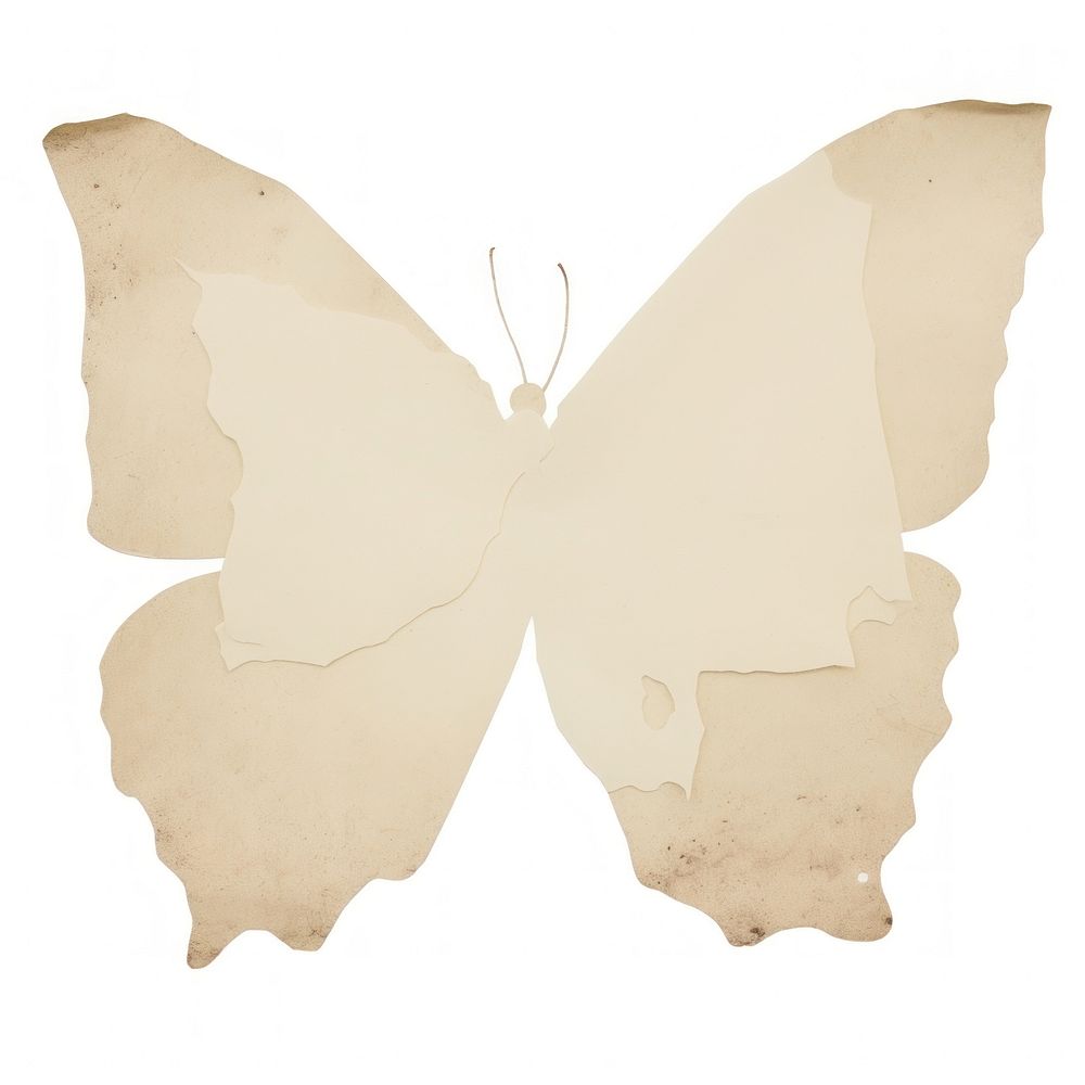 Butterfly shape ripped paper white white background accessories.
