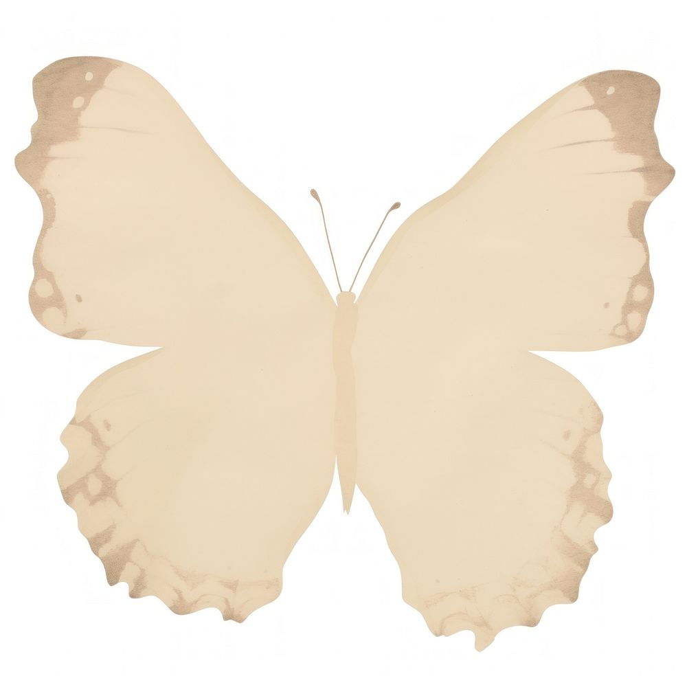 Butterfly shape ripped paper animal insect white.