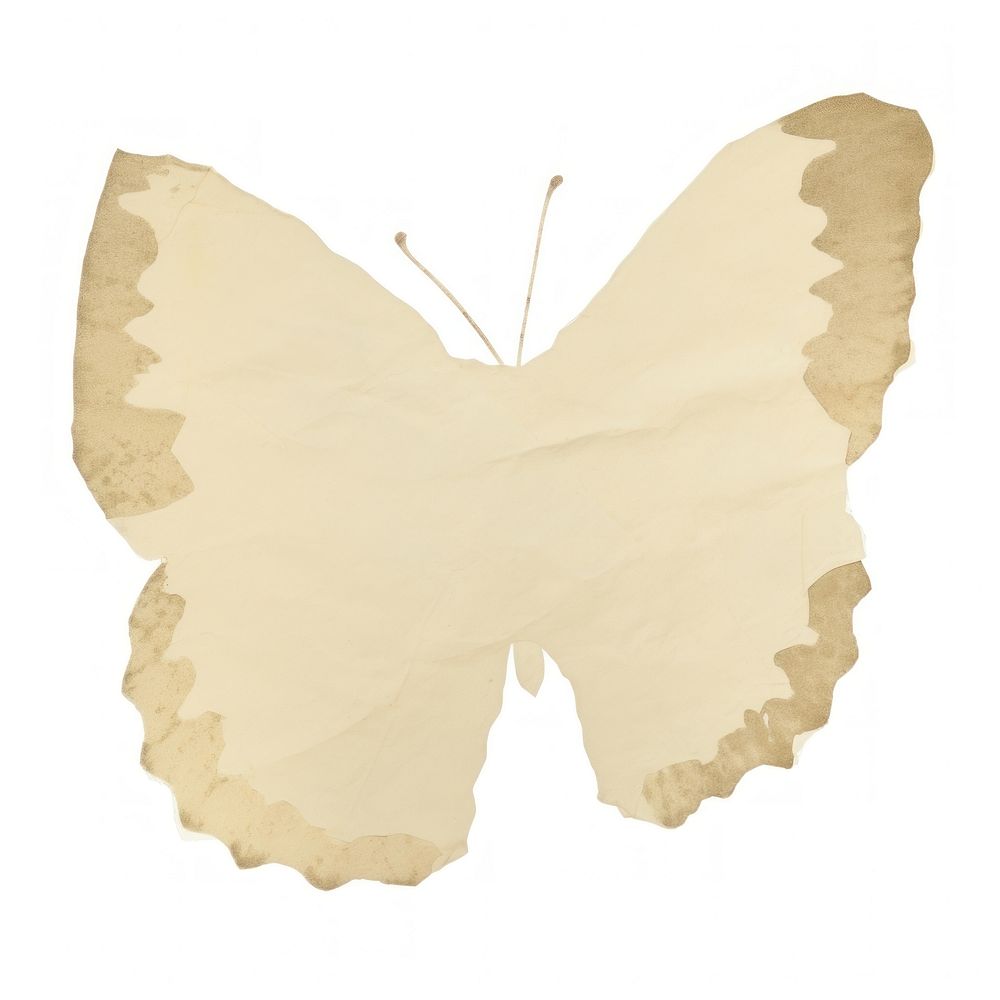 Butterfly shape ripped paper white white background pattern.