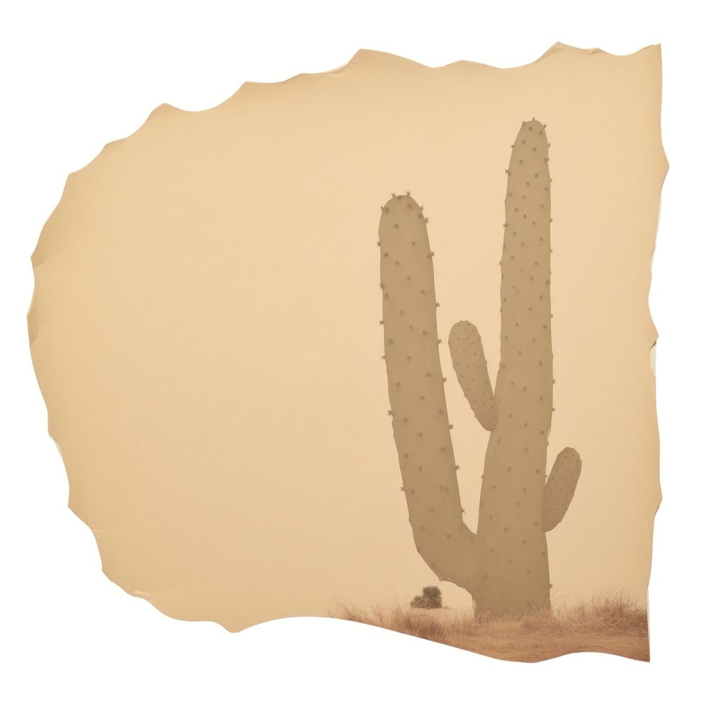 Cactus shape ripped paper white background silhouette textured.