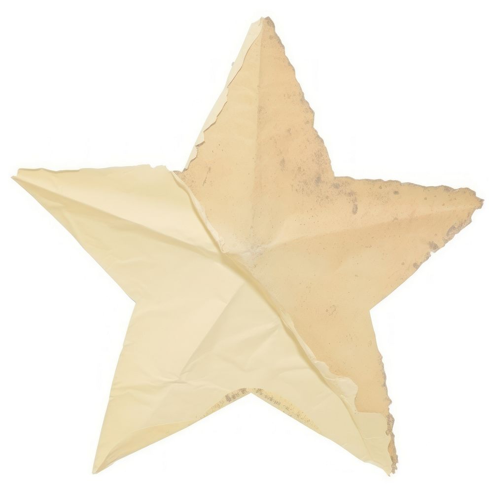 Star shape ripped paper white background simplicity echinoderm.