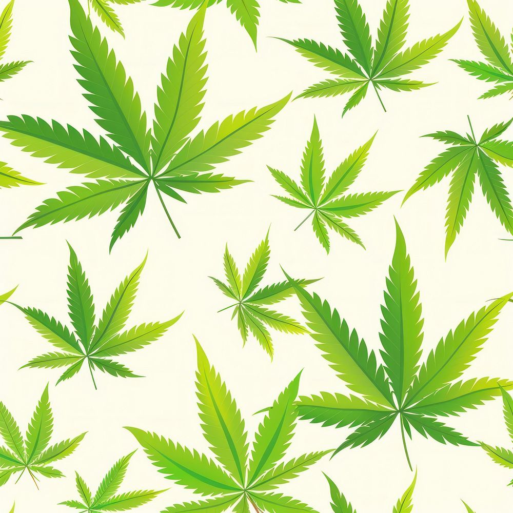 Cannabis leaf pattern texture backgrounds plant green.