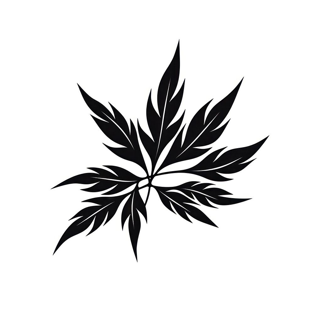 Black cannabis plant leaf line.