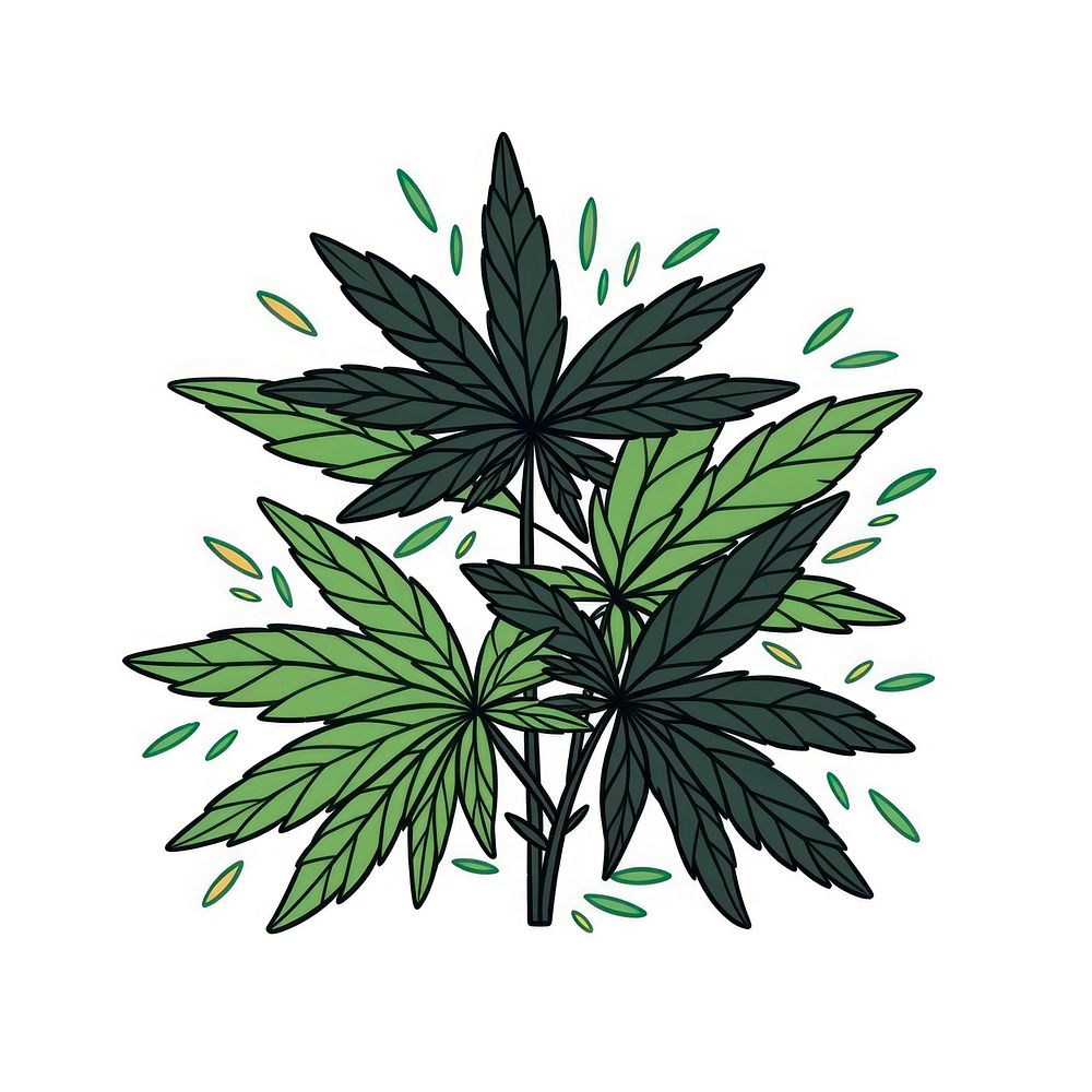 Green cannabis plant herbs leaf.