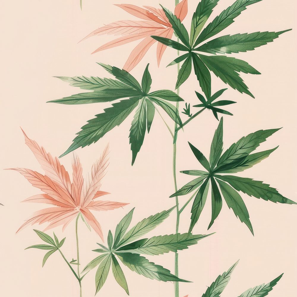 Cannabis pattern plant herbs.