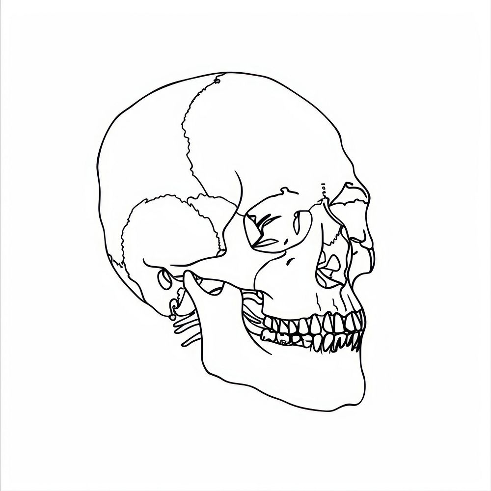 A human skull drawing sketch doodle.