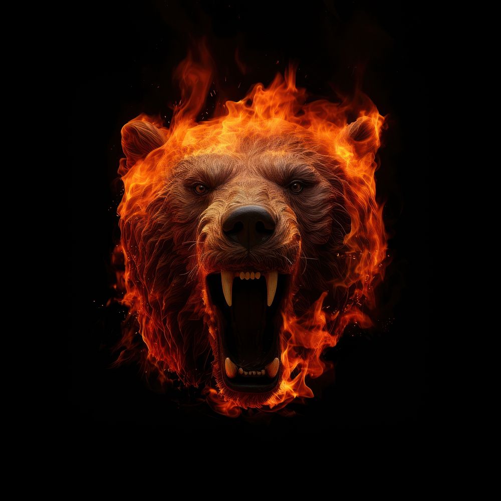 Bear head fire flame mammal black background aggression.