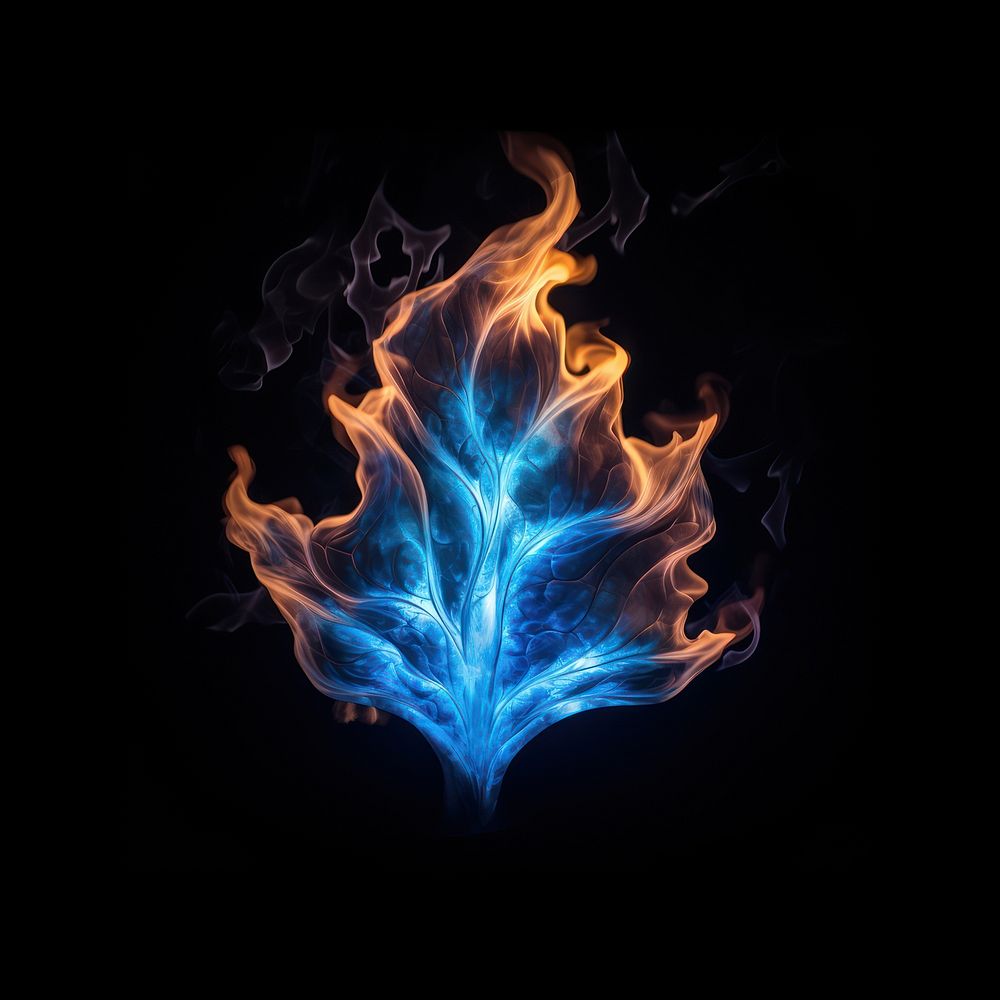 Blue monsterra leaf fire flame pattern light black background.