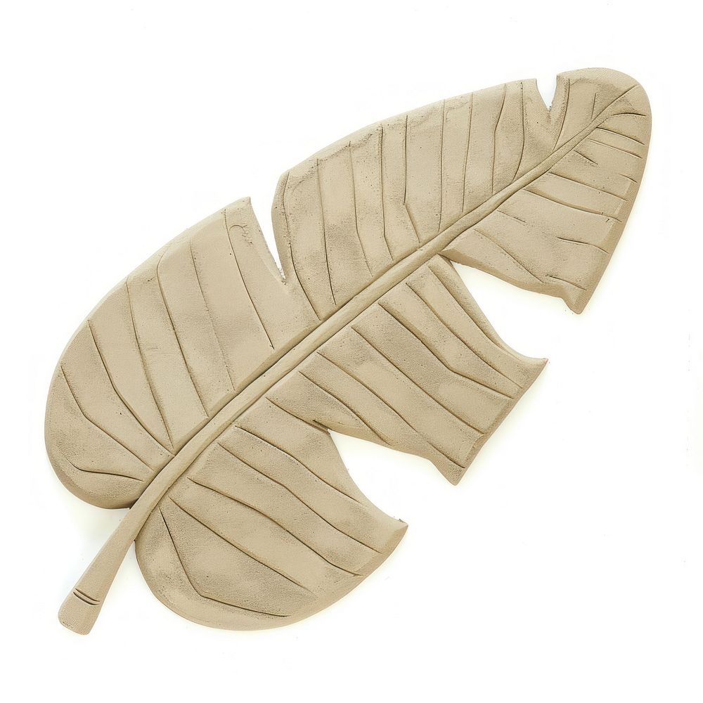 Flat Sand Sculpture a banana leaf plant white background accessories.