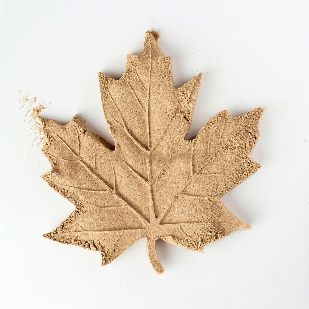 Flat Sand Sculpture a maple leaf plant tree white background.