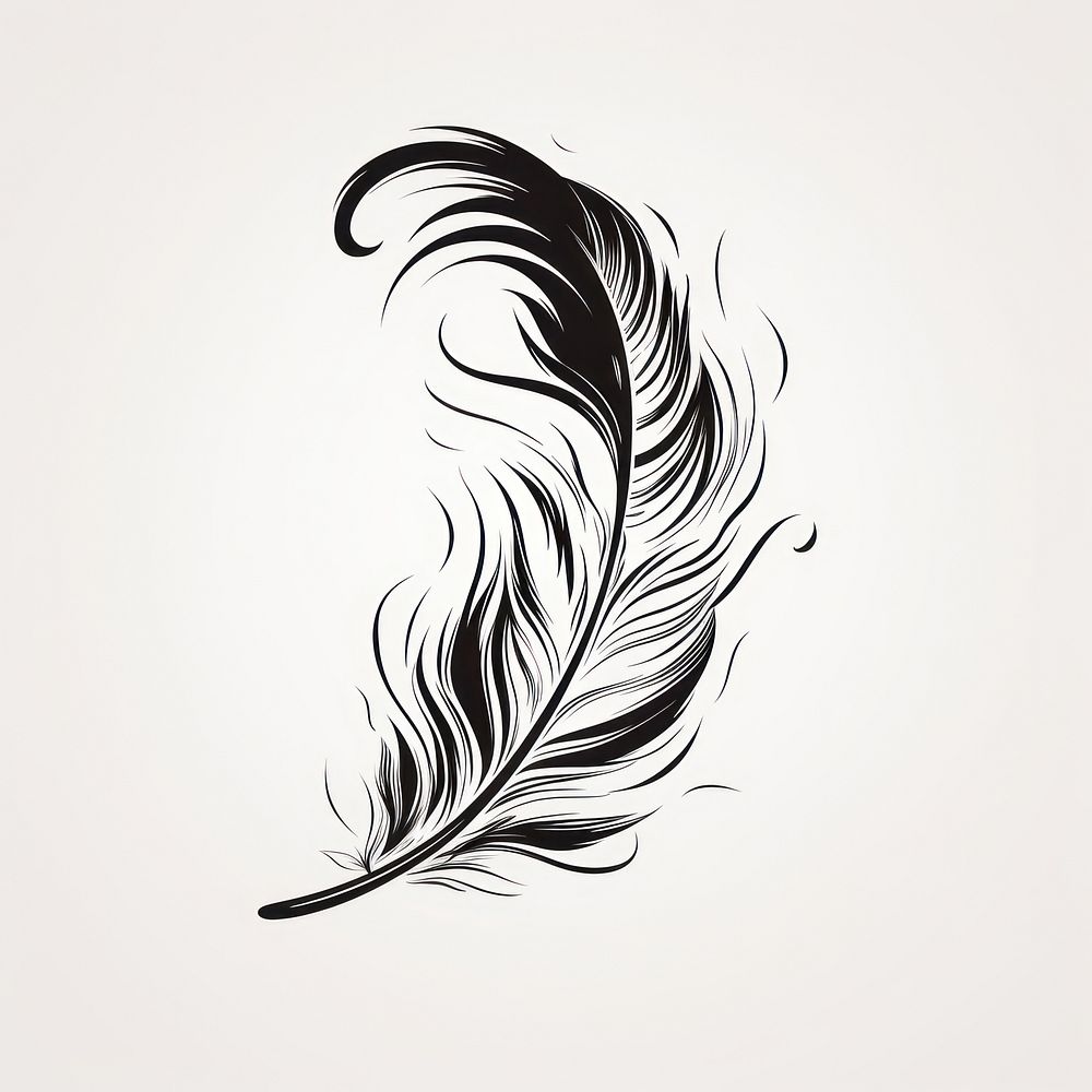 Feather pattern drawing sketch.
