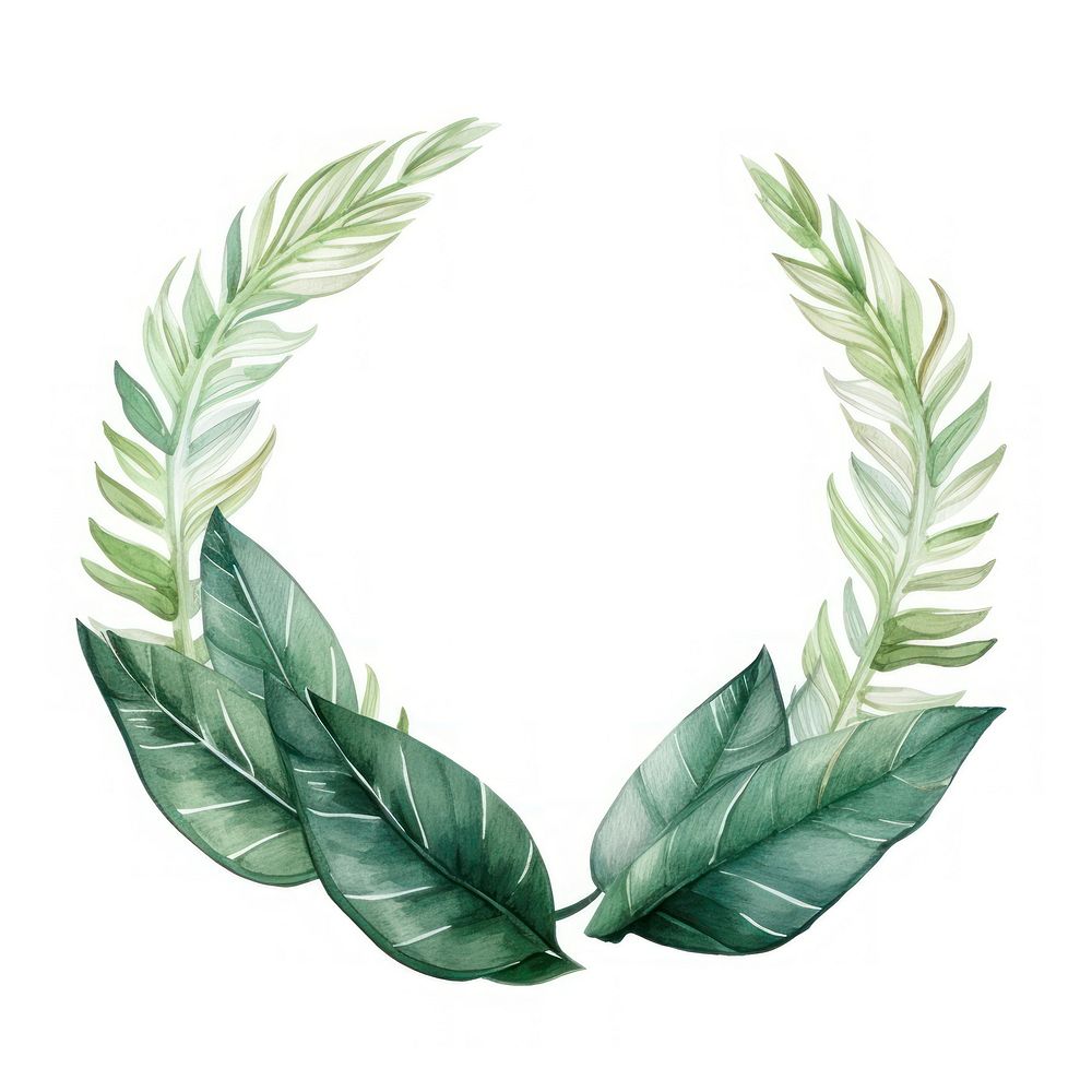 Tropical leaves wreath plant leaf white background.