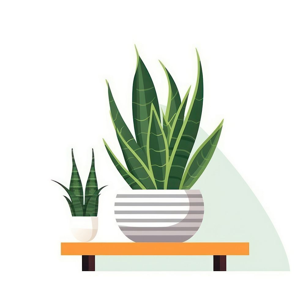Snake plant flat vector illustration leaf vase houseplant.