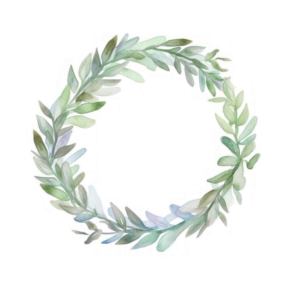 A wreath plant leaf white background.