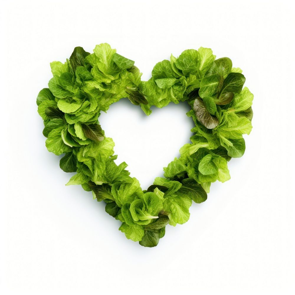 Green vegetables forming heart-shape lettuce plant food.