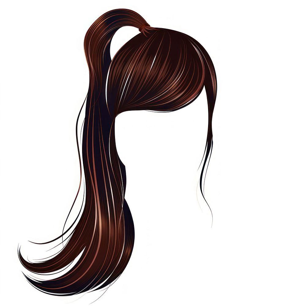 Hairstyle ponytail white background portrait.