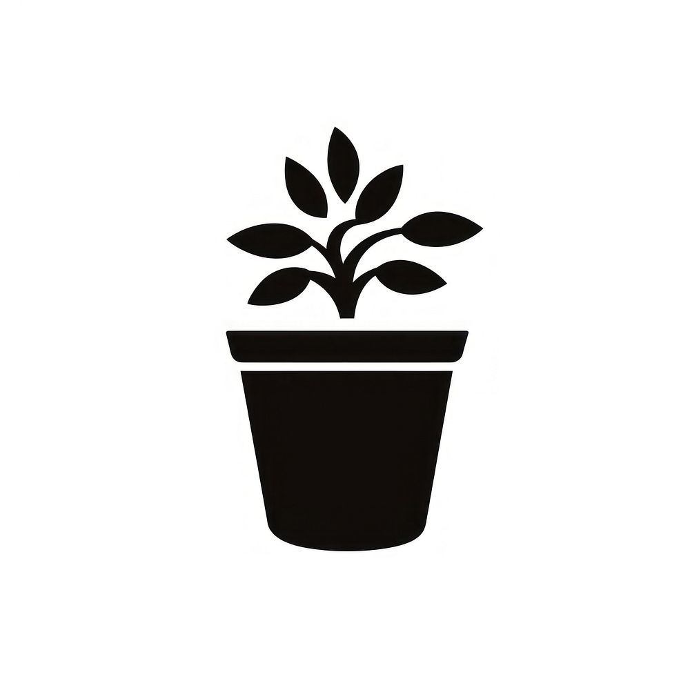 Simple coffee icon plant black leaf.