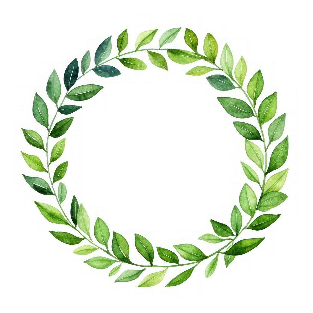 Green leaf circle border wreath plant white background.