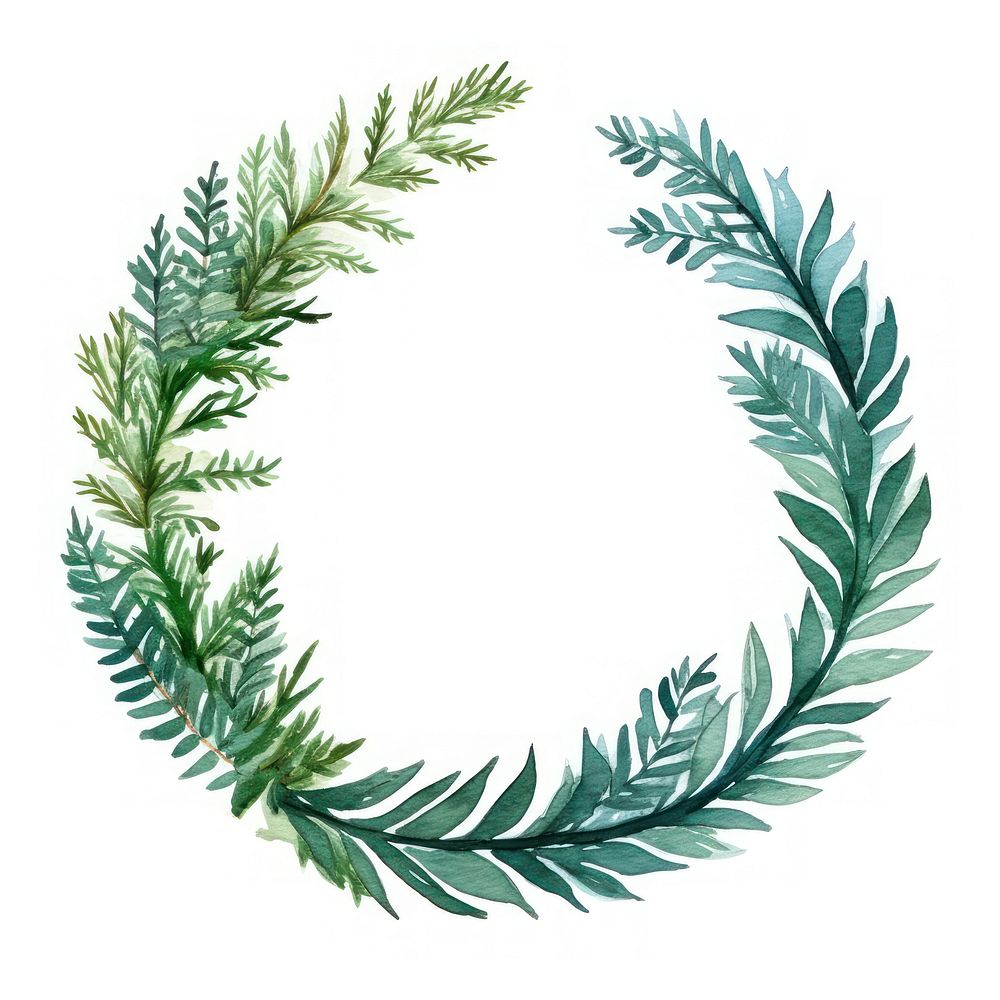 Pine leaf circle border wreath plant herbs.